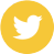 Twitter icon